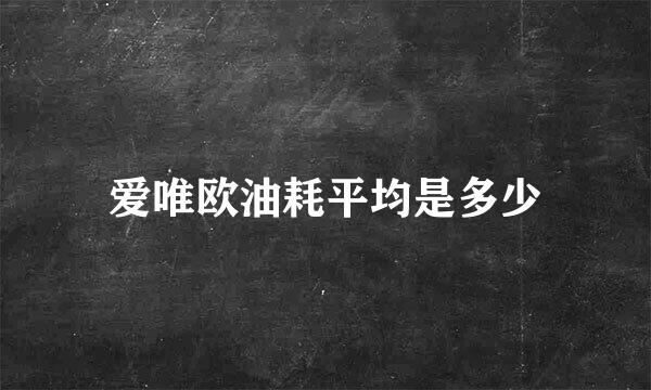 爱唯欧油耗平均是多少