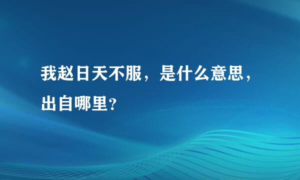 我赵日天不服，是什么意思，出自哪里？