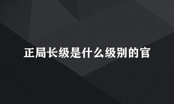 正局长级是什么级别的官