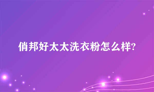 俏邦好太太洗衣粉怎么样?