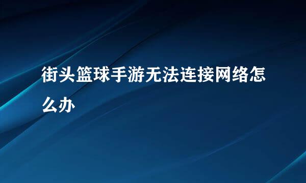 街头篮球手游无法连接网络怎么办