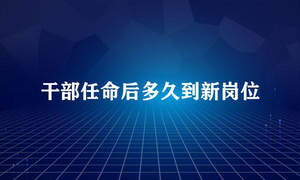 干部任命后多久到新岗位