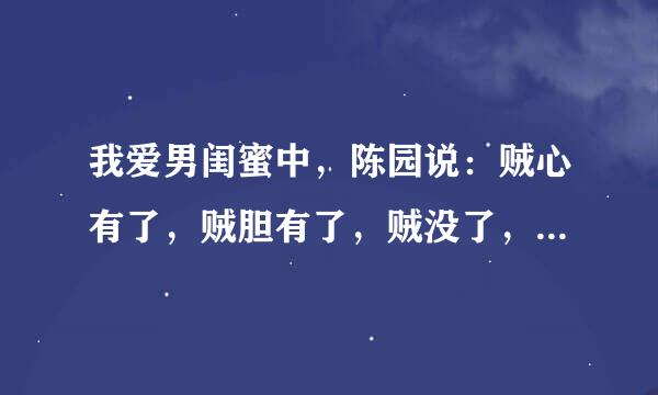 我爱男闺蜜中，陈园说：贼心有了，贼胆有了，贼没了，这句话的完整版是什么？有好评偶！跪求！