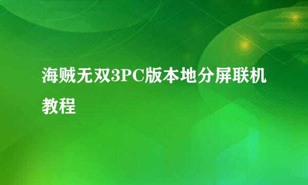 海贼无双3PC版本地分屏联机教程