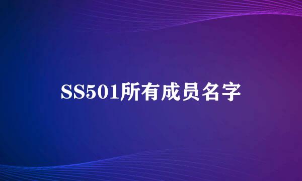 SS501所有成员名字