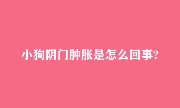 小狗阴门肿胀是怎么回事?