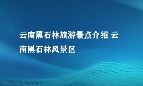 云南黑石林旅游景点介绍 云南黑石林风景区