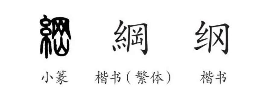 纲字组词