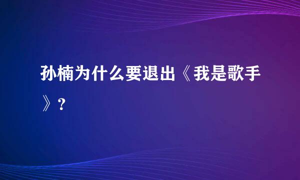 孙楠为什么要退出《我是歌手》？