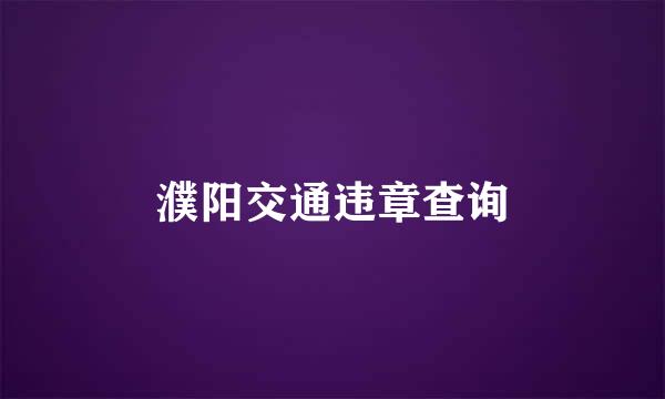 濮阳交通违章查询