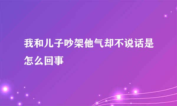 我和儿子吵架他气却不说话是怎么回事