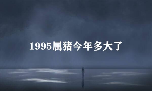 1995属猪今年多大了