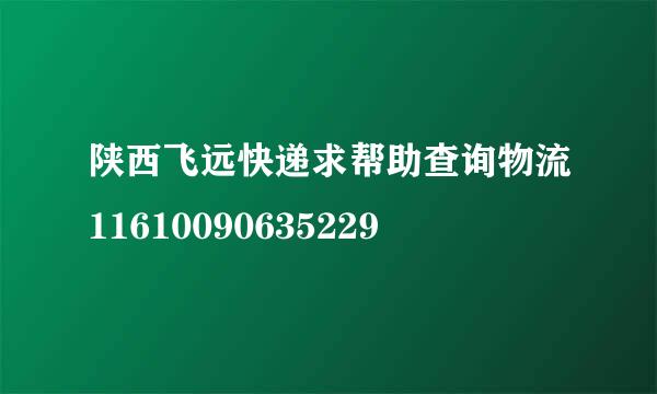 陕西飞远快递求帮助查询物流11610090635229