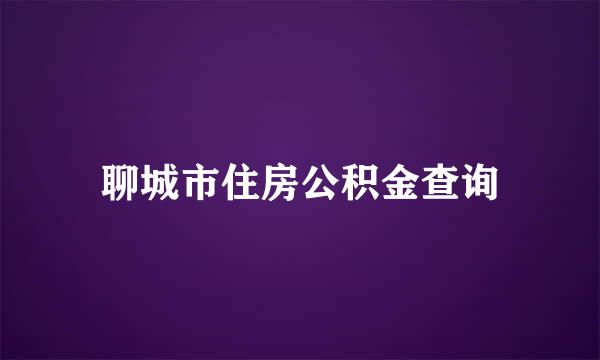 聊城市住房公积金查询