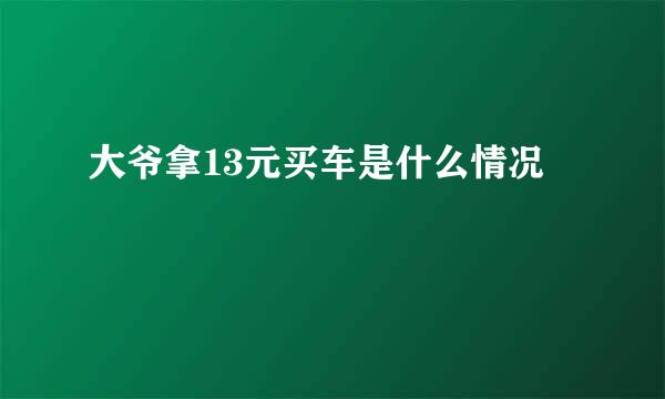 大爷拿13元买车是什么情况