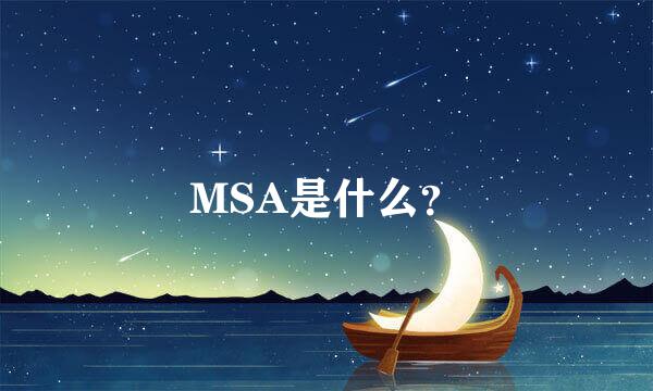 MSA是什么？