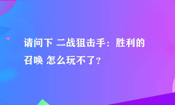 请问下 二战狙击手：胜利的召唤 怎么玩不了？