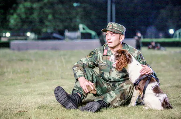 神犬奇兵演员表全部