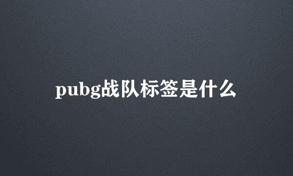 pubg战队标签是什么