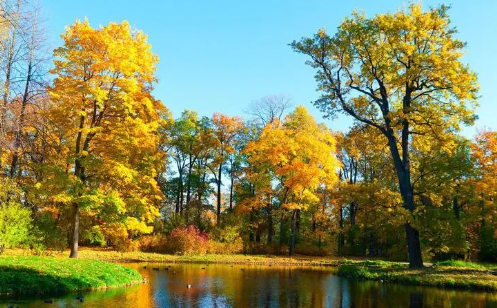 形容秋天景色的词语