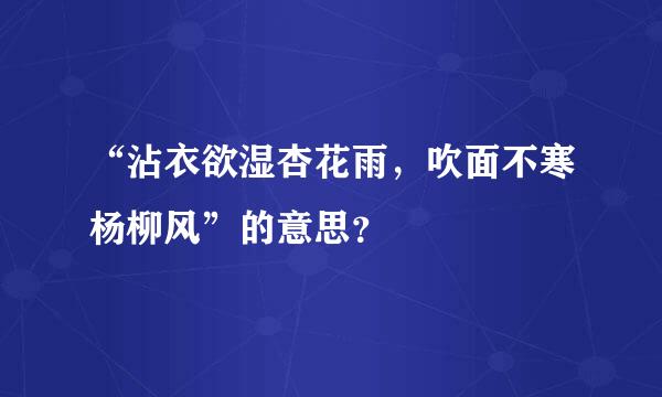 “沾衣欲湿杏花雨，吹面不寒杨柳风”的意思？