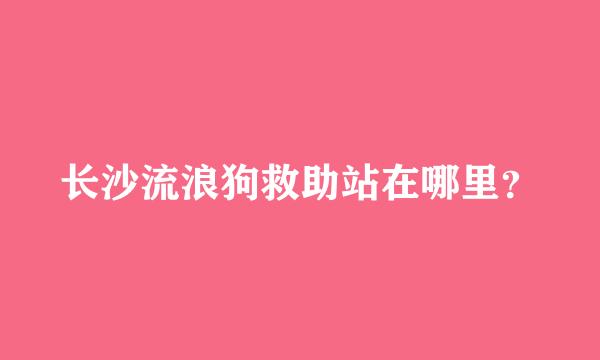 长沙流浪狗救助站在哪里？