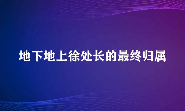 地下地上徐处长的最终归属