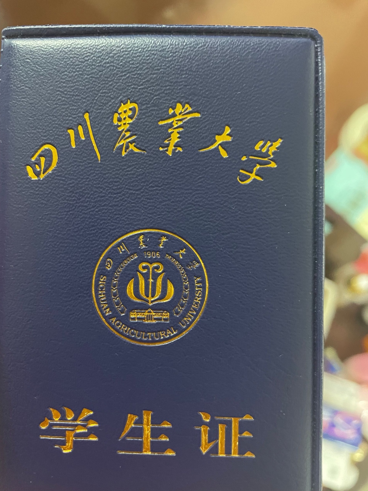 请问成都锦城学院怎么样？