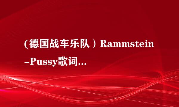 (德国战车乐队）Rammstein-Pussy歌词中文翻译！最好中德文对照