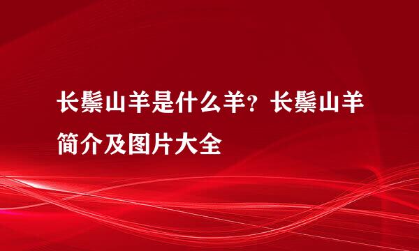 长鬃山羊是什么羊？长鬃山羊简介及图片大全