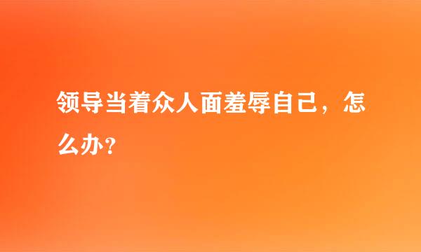 领导当着众人面羞辱自己，怎么办？