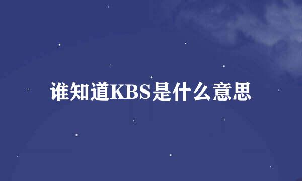 谁知道KBS是什么意思