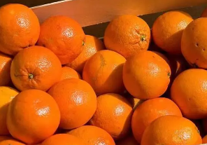 一年四季都有橘子卖，这究竟是为什么？