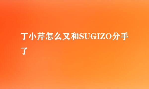 丁小芹怎么又和SUGIZO分手了