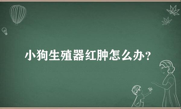 小狗生殖器红肿怎么办？