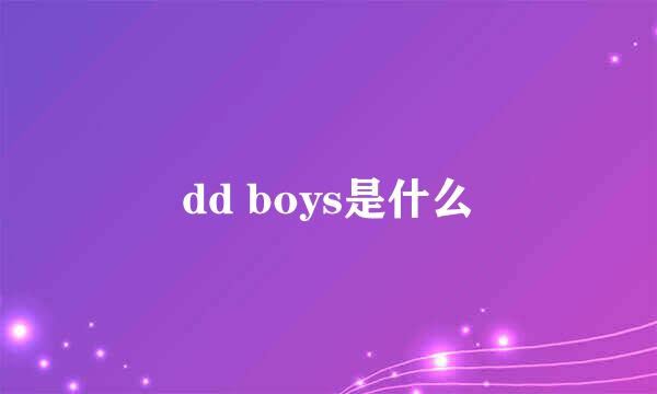 dd boys是什么