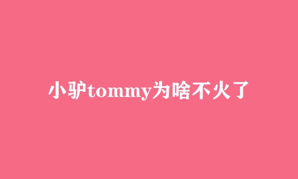 小驴tommy为啥不火了