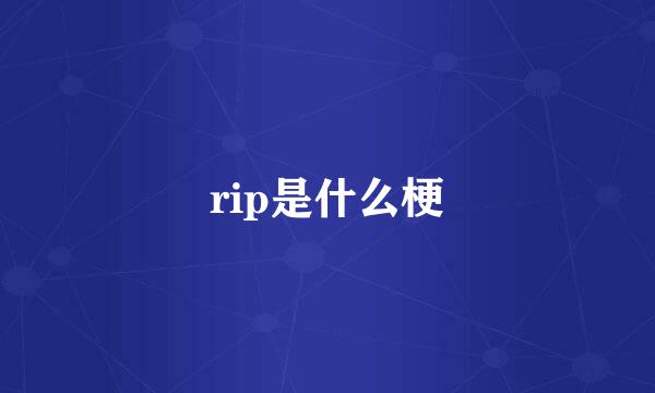 rip是什么梗