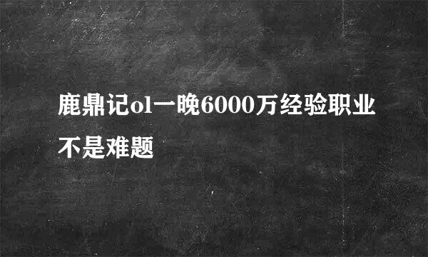 鹿鼎记ol一晚6000万经验职业不是难题