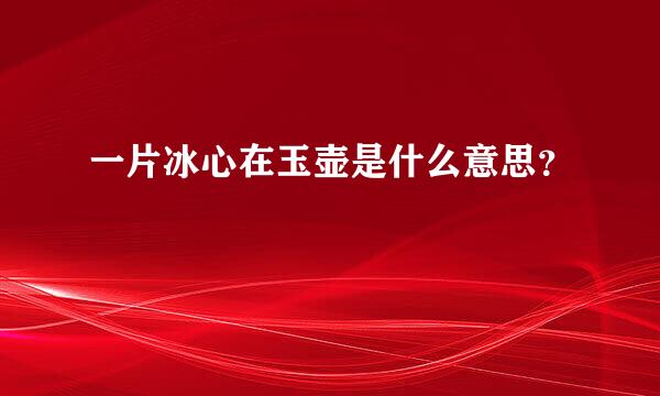 一片冰心在玉壶是什么意思？