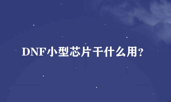 DNF小型芯片干什么用？