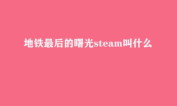 地铁最后的曙光steam叫什么