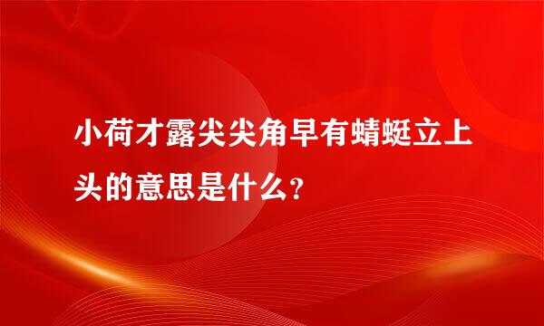 小荷才露尖尖角早有蜻蜓立上头的意思是什么？