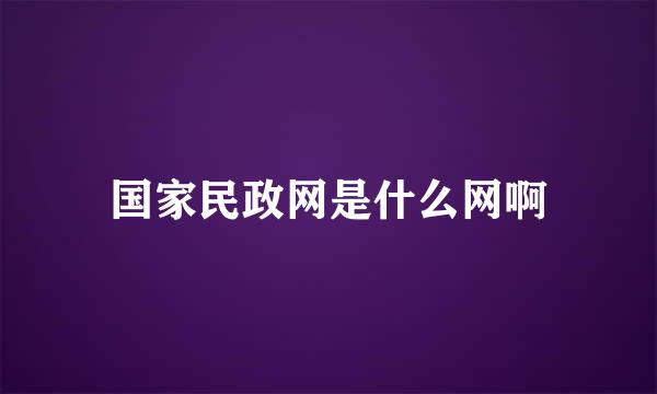 国家民政网是什么网啊