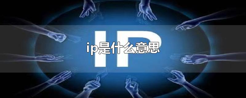 ip是什么意思