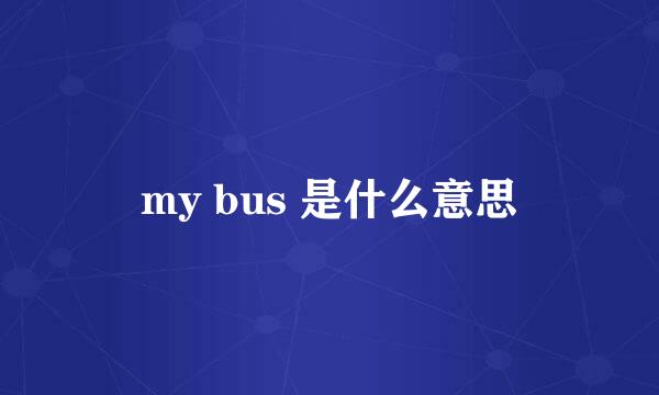 my bus 是什么意思