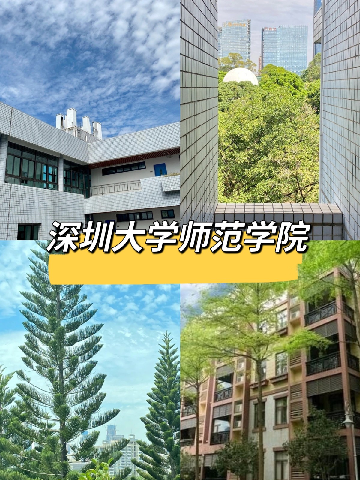 深圳大学师范学院