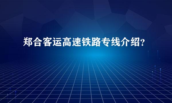 郑合客运高速铁路专线介绍？