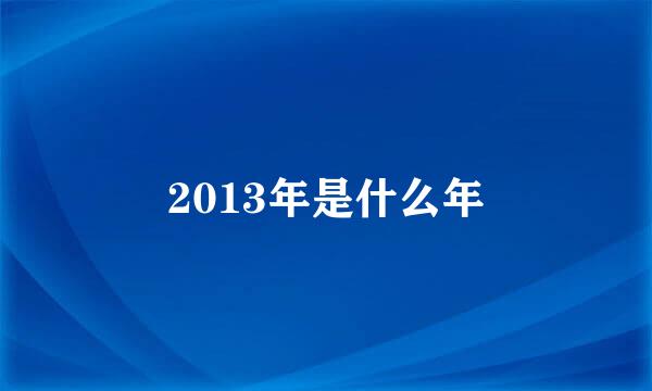 2013年是什么年