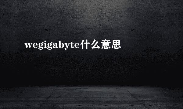 wegigabyte什么意思